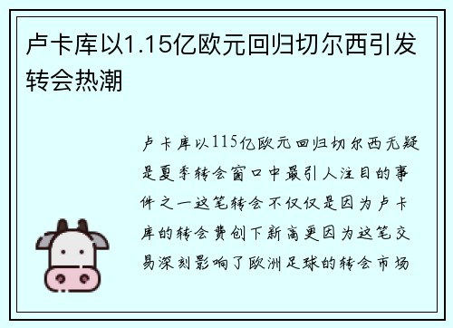 卢卡库以1.15亿欧元回归切尔西引发转会热潮